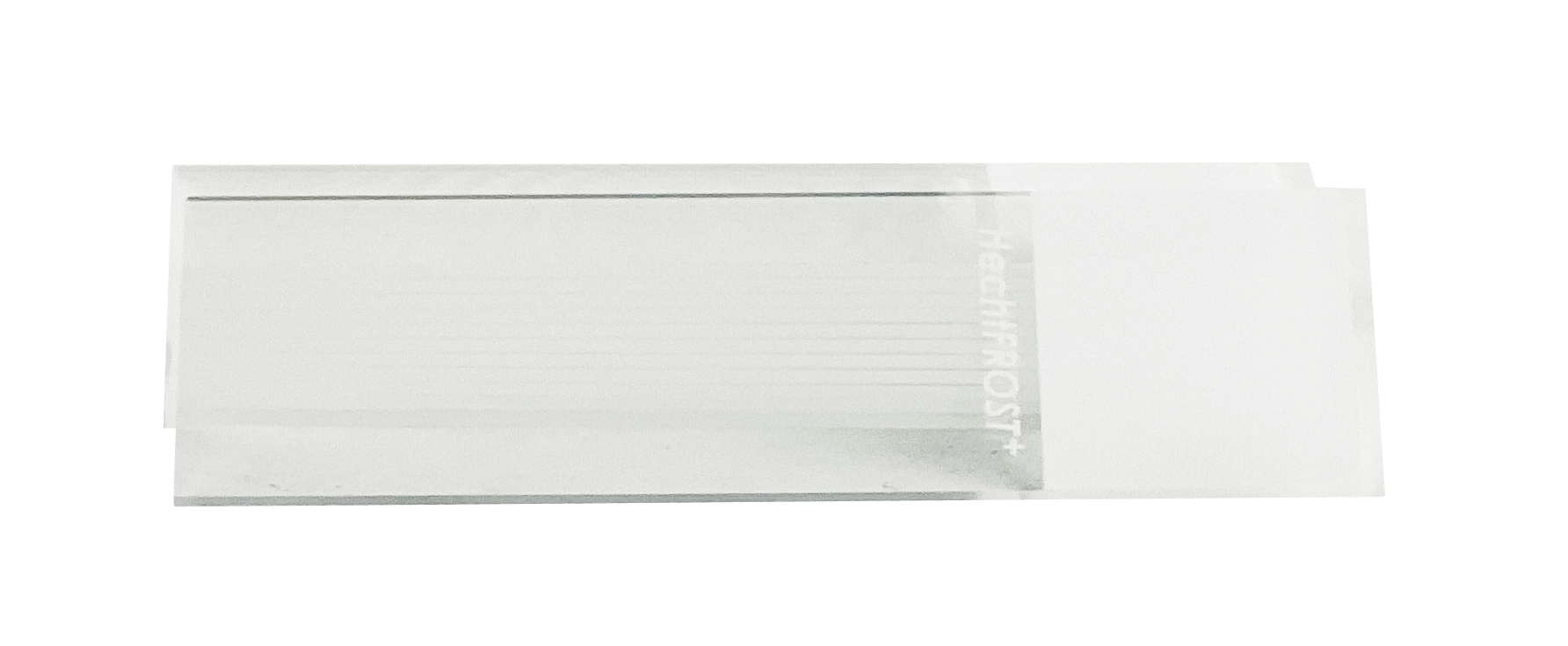 Objektträger Superfrost® Plus